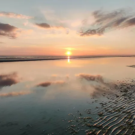 Tatil Evi Thatched House Near Wadden Sea Nature